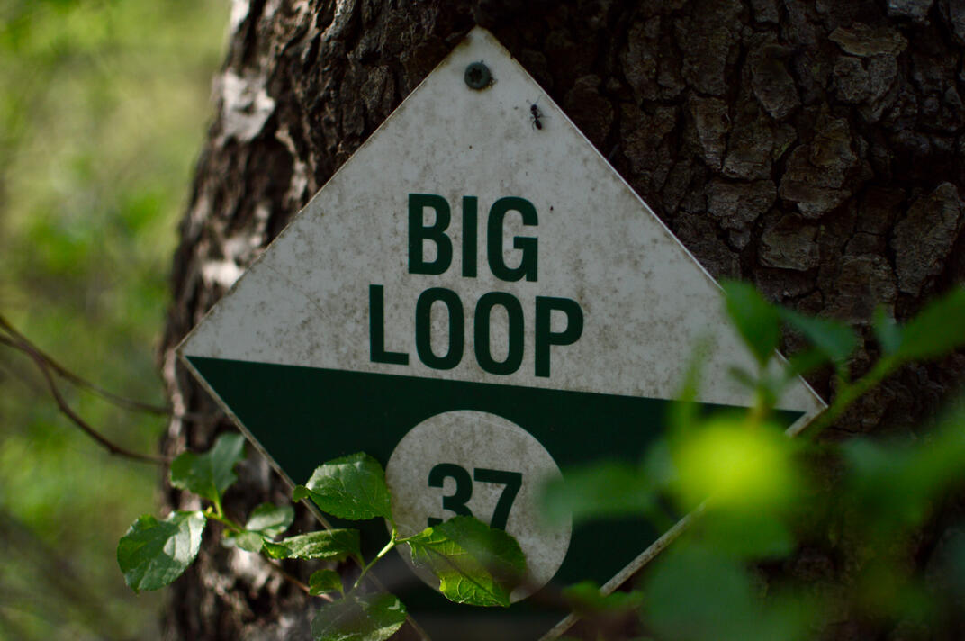 Big Loop Big Loop